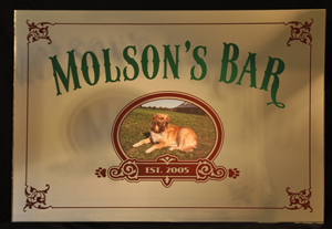 Custom Bar Sign