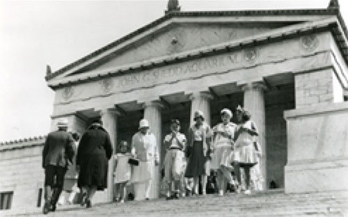 Shedd Aquarium