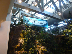 Shedd Aquarium Custom Signs