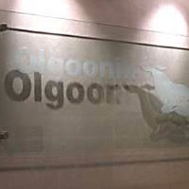 olgoonik custom business sign
